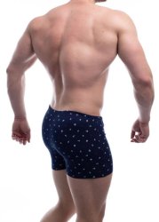 Мужские трусы шорты Tezavrator МШ 950408 р.48