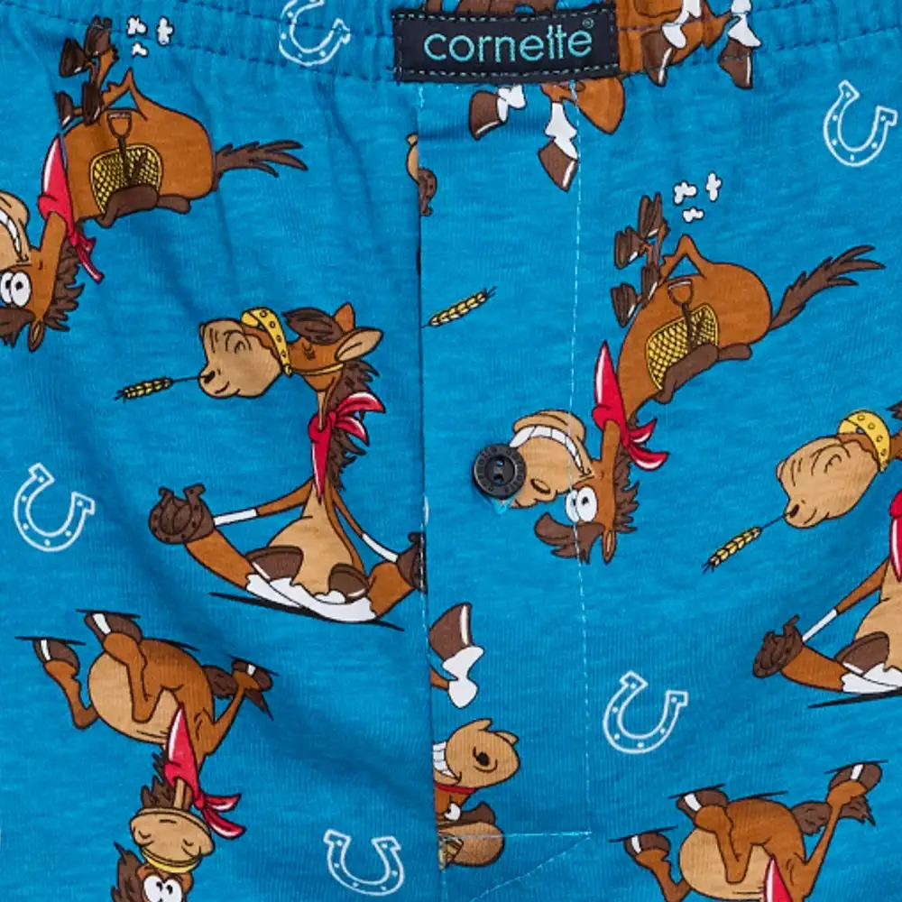 Cornette Classic сімейні Чоловічі труси бавовна 001-191
